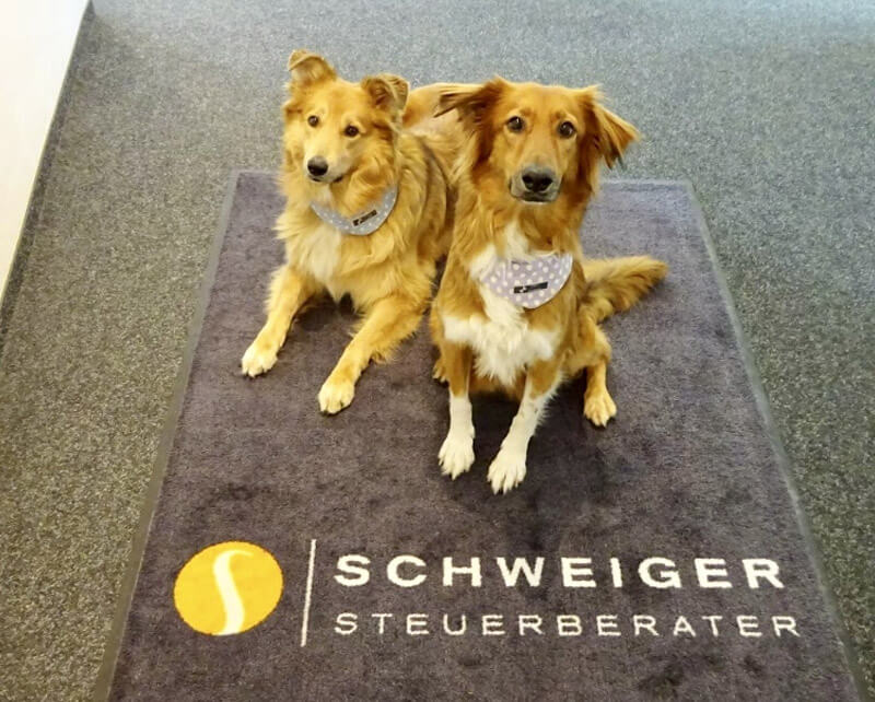 Die zwei Bürohunde von Schweiger is tax, der Steuerkanzlei für Poing,F eldkirchen, Marktschwaben, Aschheim, Kirchheim & München